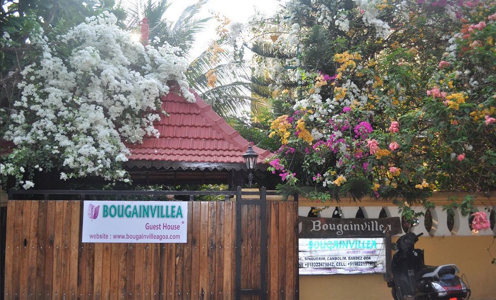 Bougainvillea Guest House Candolim Eksteriør bilde